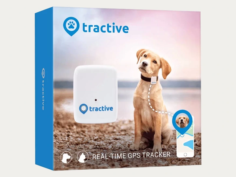 Rectangular dog tracker boxes