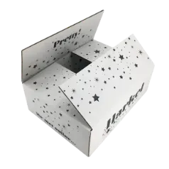 Regular Slotted Container RSC Boxes 1