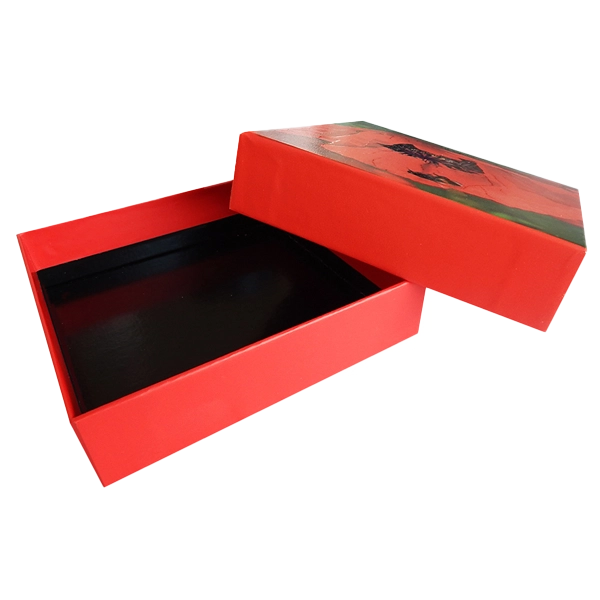 Rigid Shoulder Neck Boxes with Protective Base Layer