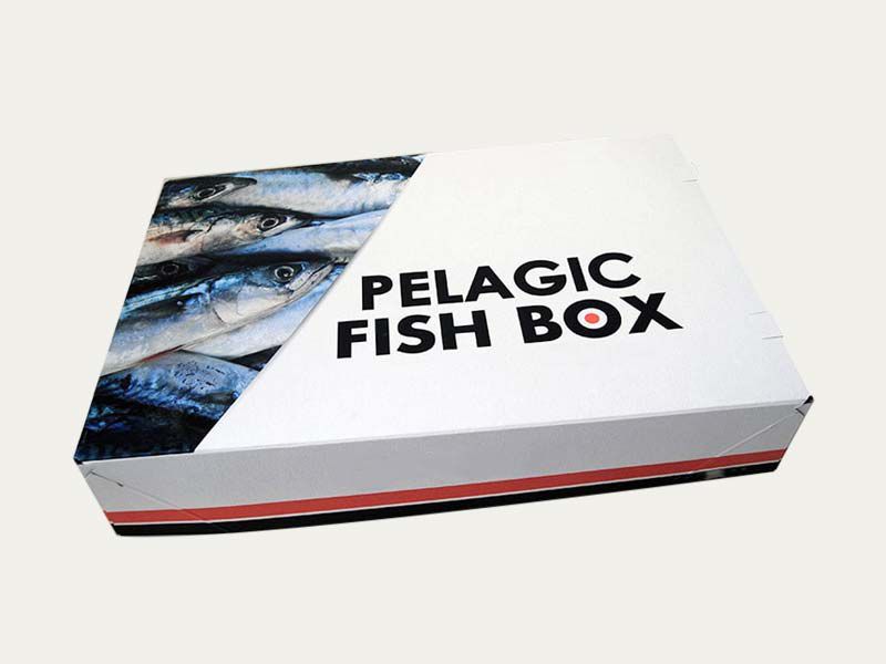 Fish Packaging Boxes