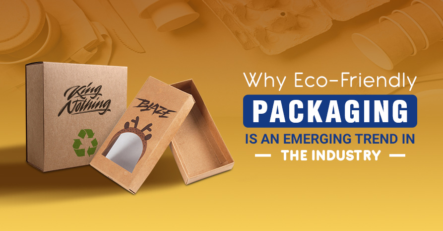 Why Eco-Friendly Packaging is An Emerging Trend in The Industry